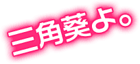 三角葵よ。