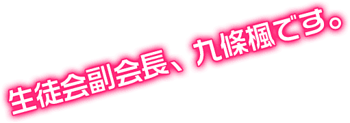 生徒会副会長、九條楓です。